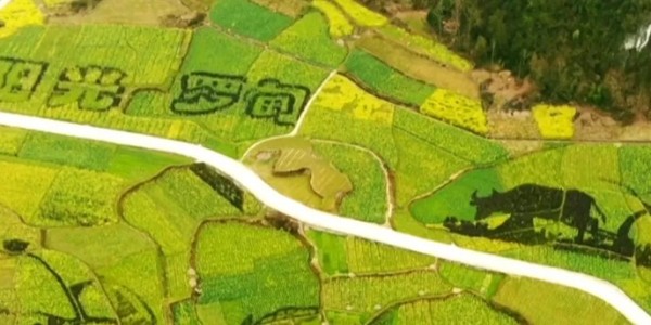 土地的涅槃｜全域土地綜合整治為何爆火？設(shè)計(jì)院如何搶占風(fēng)口？